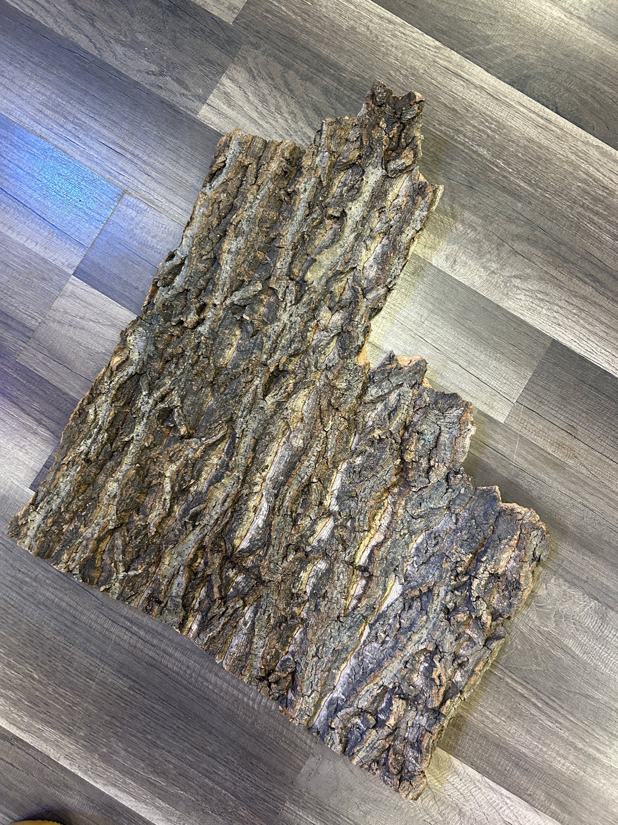 Cork Bark Wood - ALA