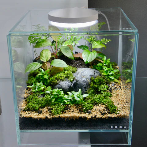 Magnet Light G Slim LED Puck - DOOA