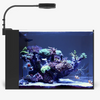 Rimless AIO Aquarium Systems - Waterbox Aquariums