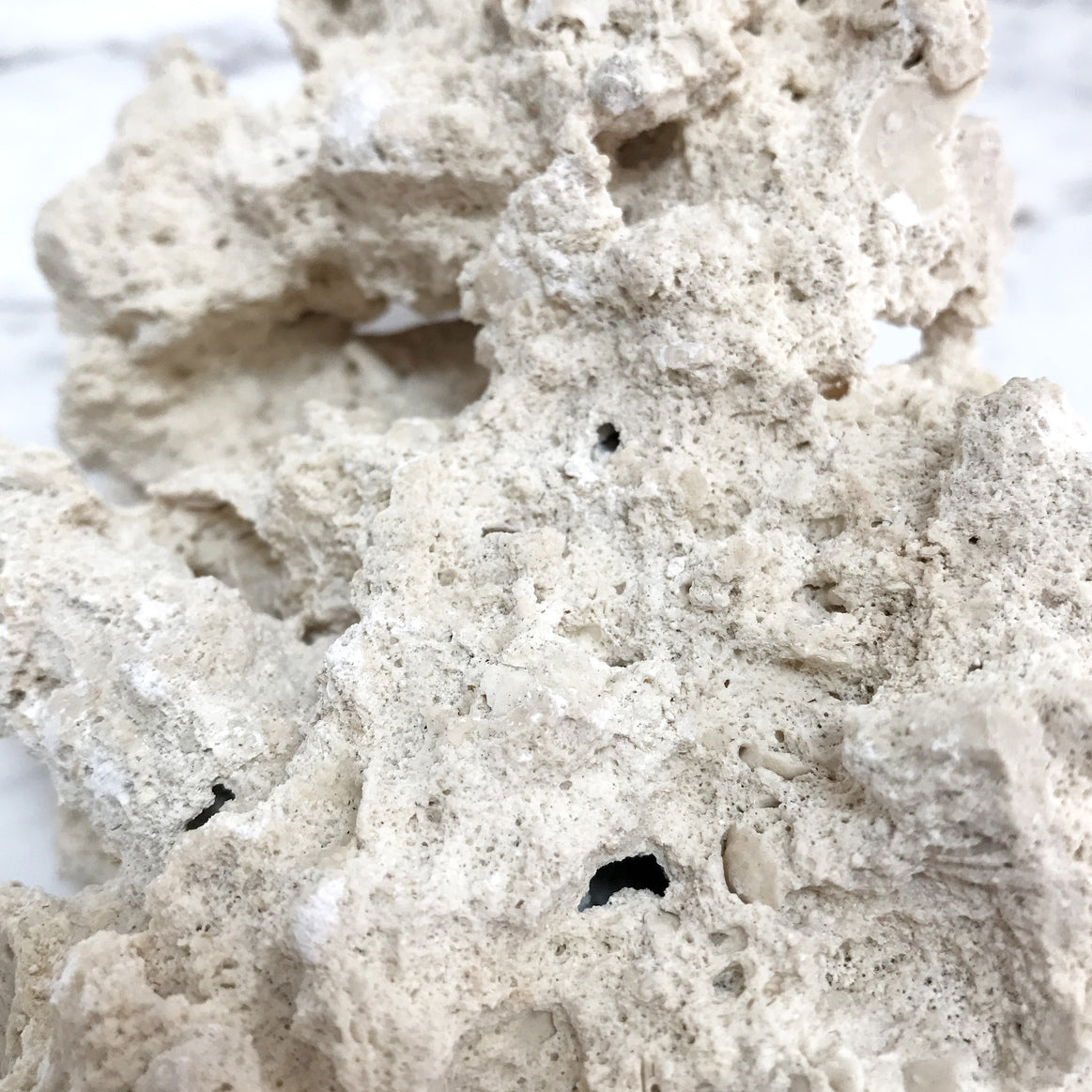 ReefSaver Dry Rock - Marco Rocks