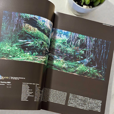 ADA IAPLC 2025 Contest Book - ADA