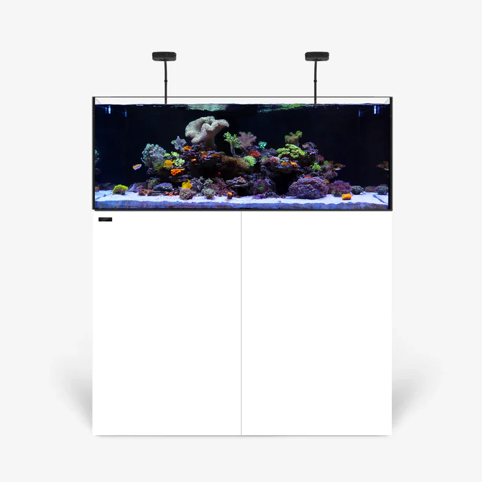 Rimless AIO Aquarium Systems - Waterbox Aquariums