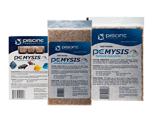 PE Frozen Mysis Cubes - Piscine Energetics