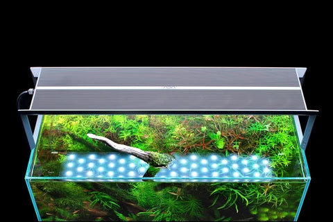 NA Light Pro LED System - ADA