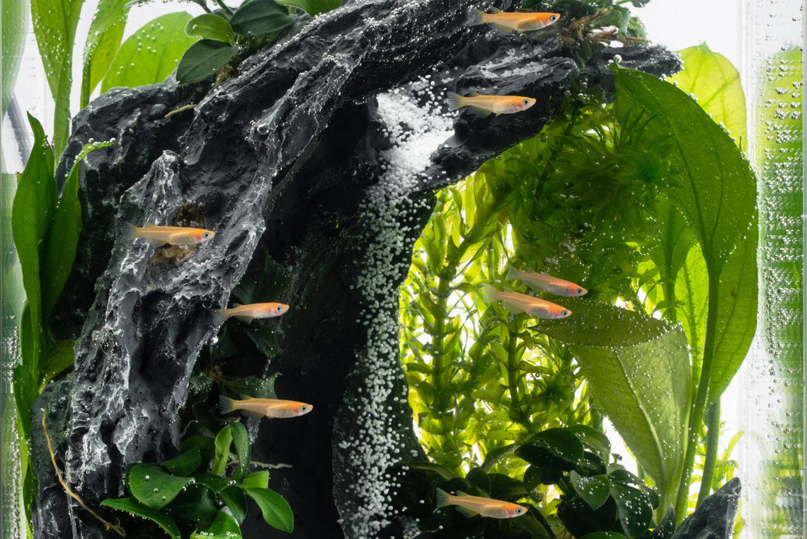 Sand Waterfall Tank Kits - Aqua Worx