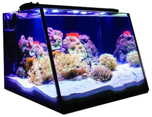 Full View Aquarium - Lifegard Aquatics