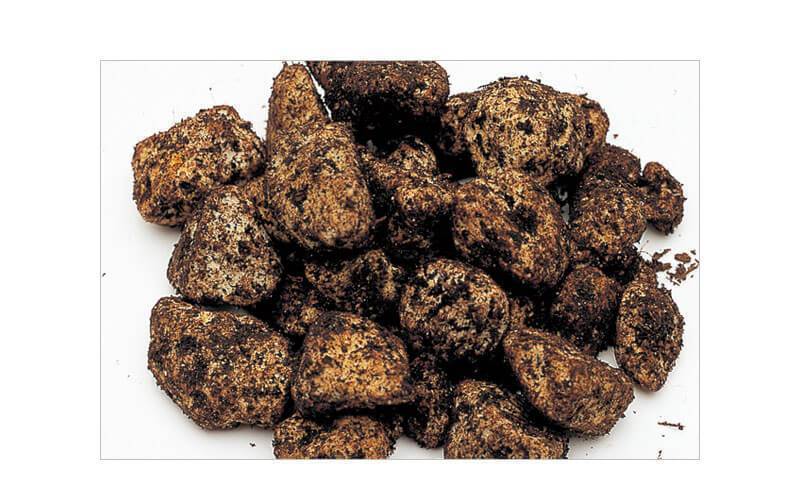 Power Sand Advance - ADA