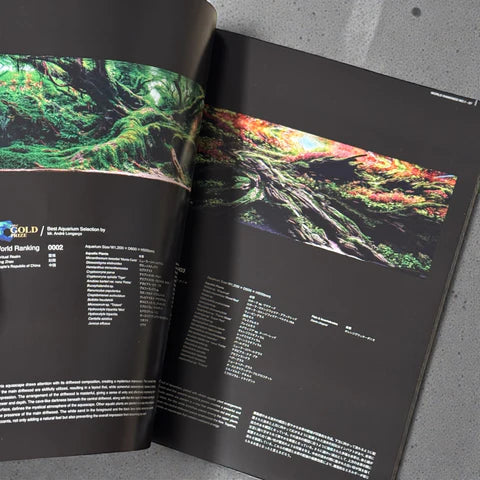 ADA IAPLC 2025 Contest Book - ADA