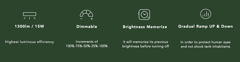 Flat Nano LED Stand - ONF