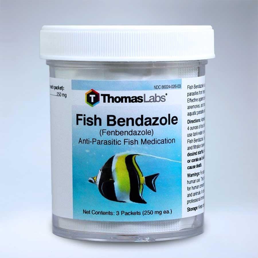 Fish Bendazole Fenbendazole Anti-Parasitic Fish Medication - Thomas Labs