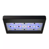 Radion Saltwater G6 Pro LED Light - EcoTech Marine