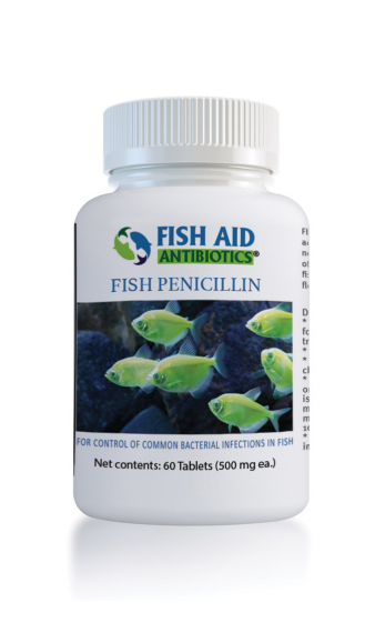 Fish Penicillin - Fish Aid Antibiotics