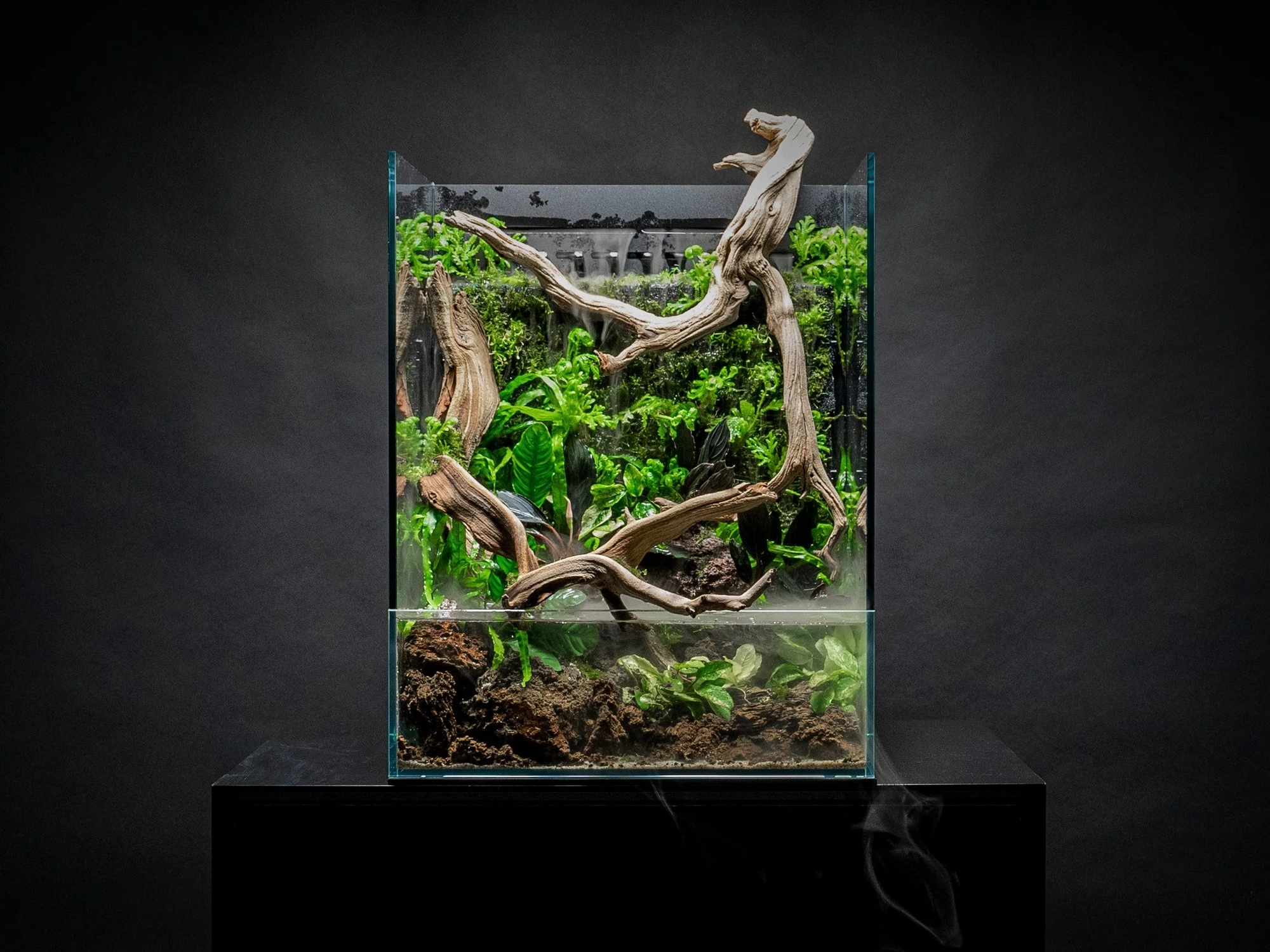 UNS Foresta Integrated Paludarium - Ultum Nature Systems