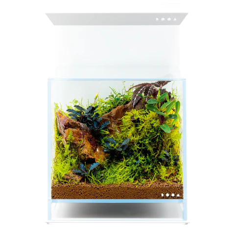 Magnet Light LED Stand - DOOA