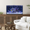 Fusion Pro 2 Lagoon 50 All-In-One Aquarium (50 GAL) - Innovative Marine