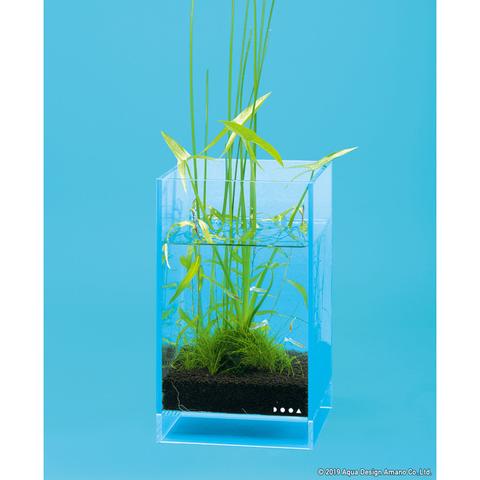 Neo Glass Air - DOOA