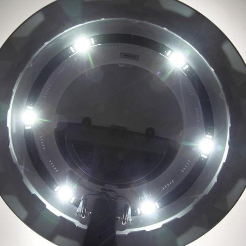 biOrbAIR LED Terrarium - Oase