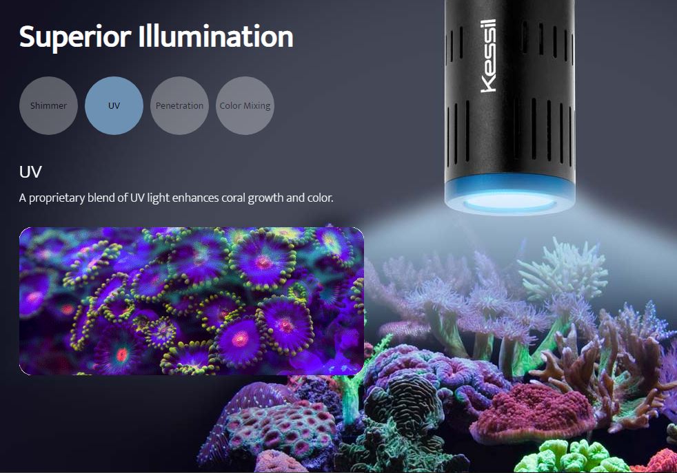 A160WE LED Aquarium Light - Kessil