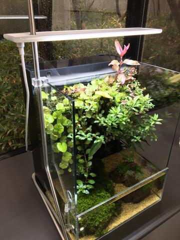 System Terra 30 - DOOA