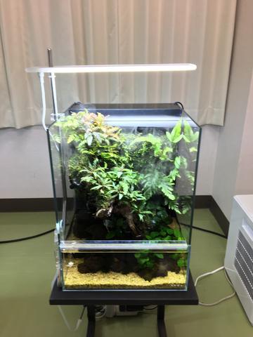 System Terra 30 - DOOA