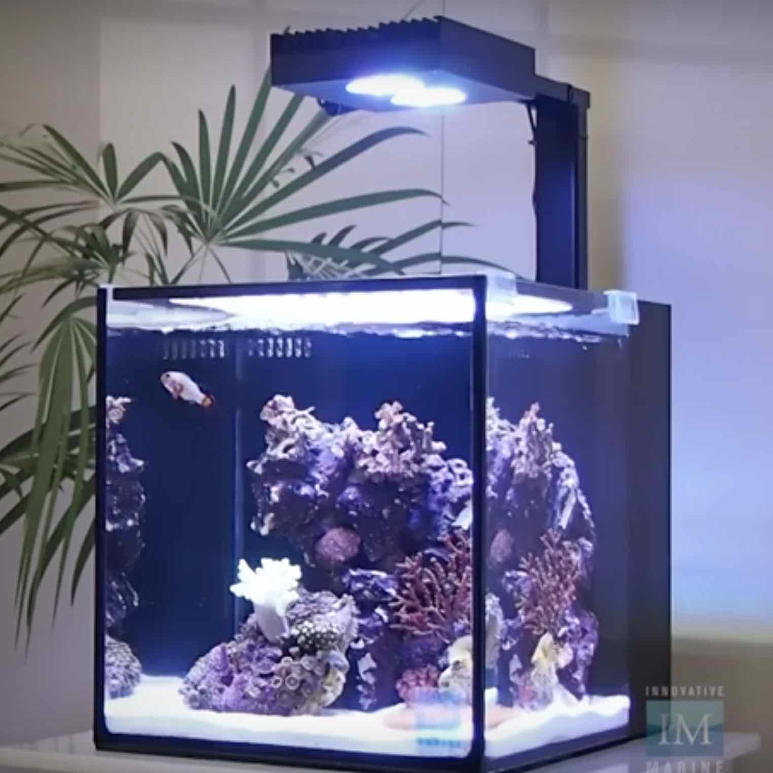 NUVO Fusion Pro 10 All-In-One Aquarium (10 GAL) - Innovative Marine