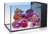 NUVO Fusion Pro 14 Peninsula All-In-One Aquarium (14 GAL) - Innovative Marine