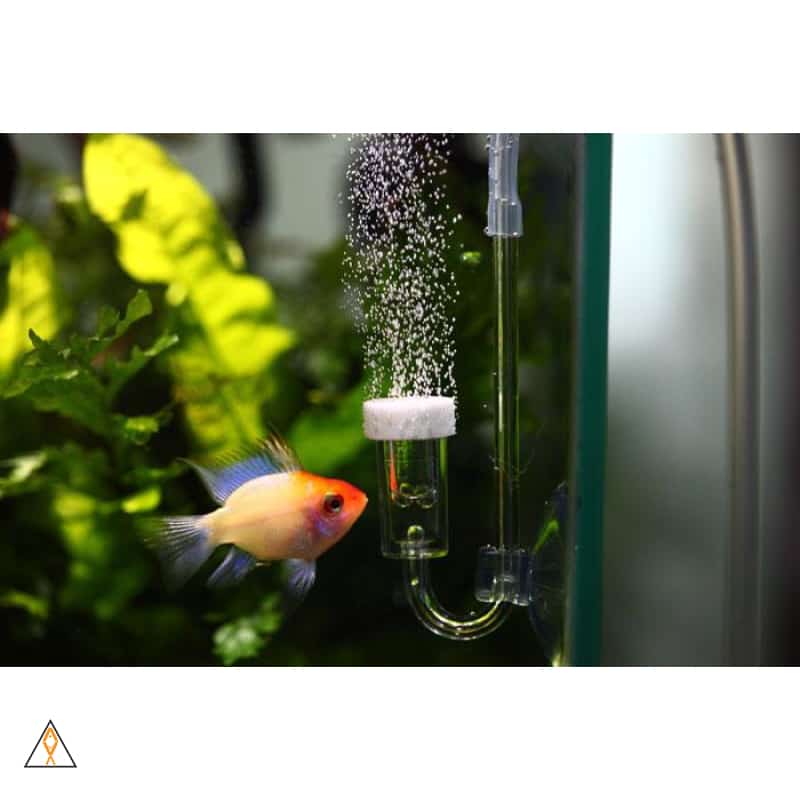 Aquarium Air Stone NEO Air Diffuser - Aquario