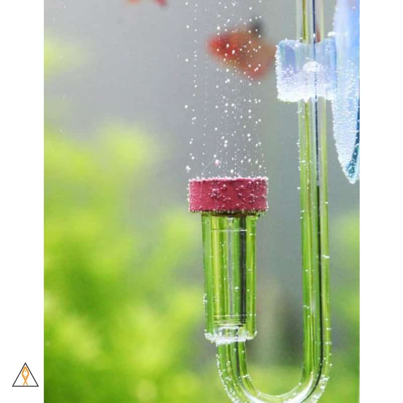 NEO CO2 Diffuser - Aquario