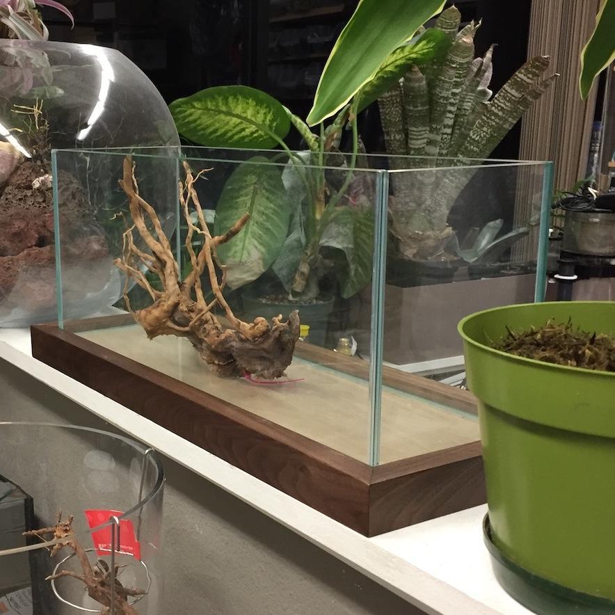 Aquarium Pedestal Serene Mini (17.7&quot; x 5.5&quot;) Walnut Hardwood Aquarium Pedestal - ALA