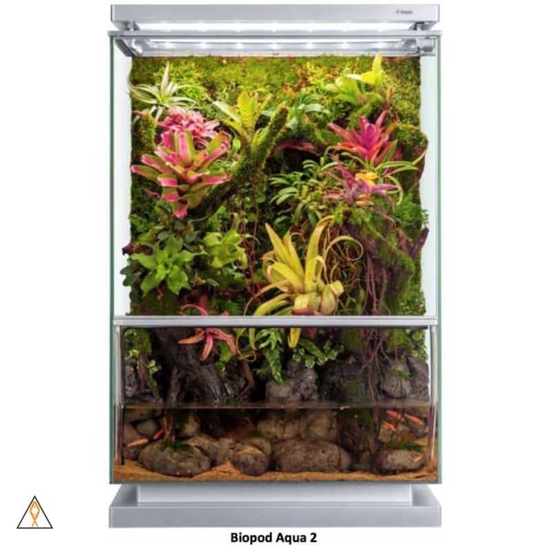 Vivarium Biopod Smart Microhabitat