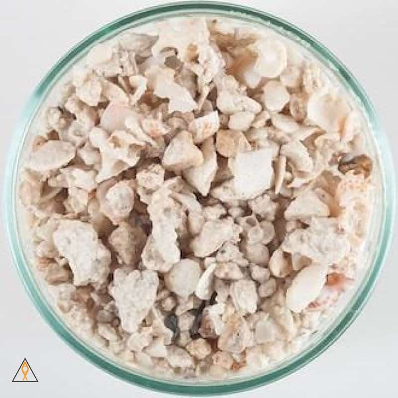 Crushed Coral Substrate Florida Aragonite Crushed Coral - CaribSea