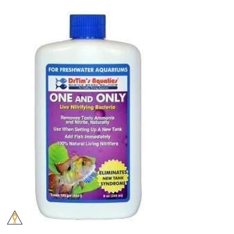 One and Only Freshwater Cycling Bacteria - Dr. Tim's