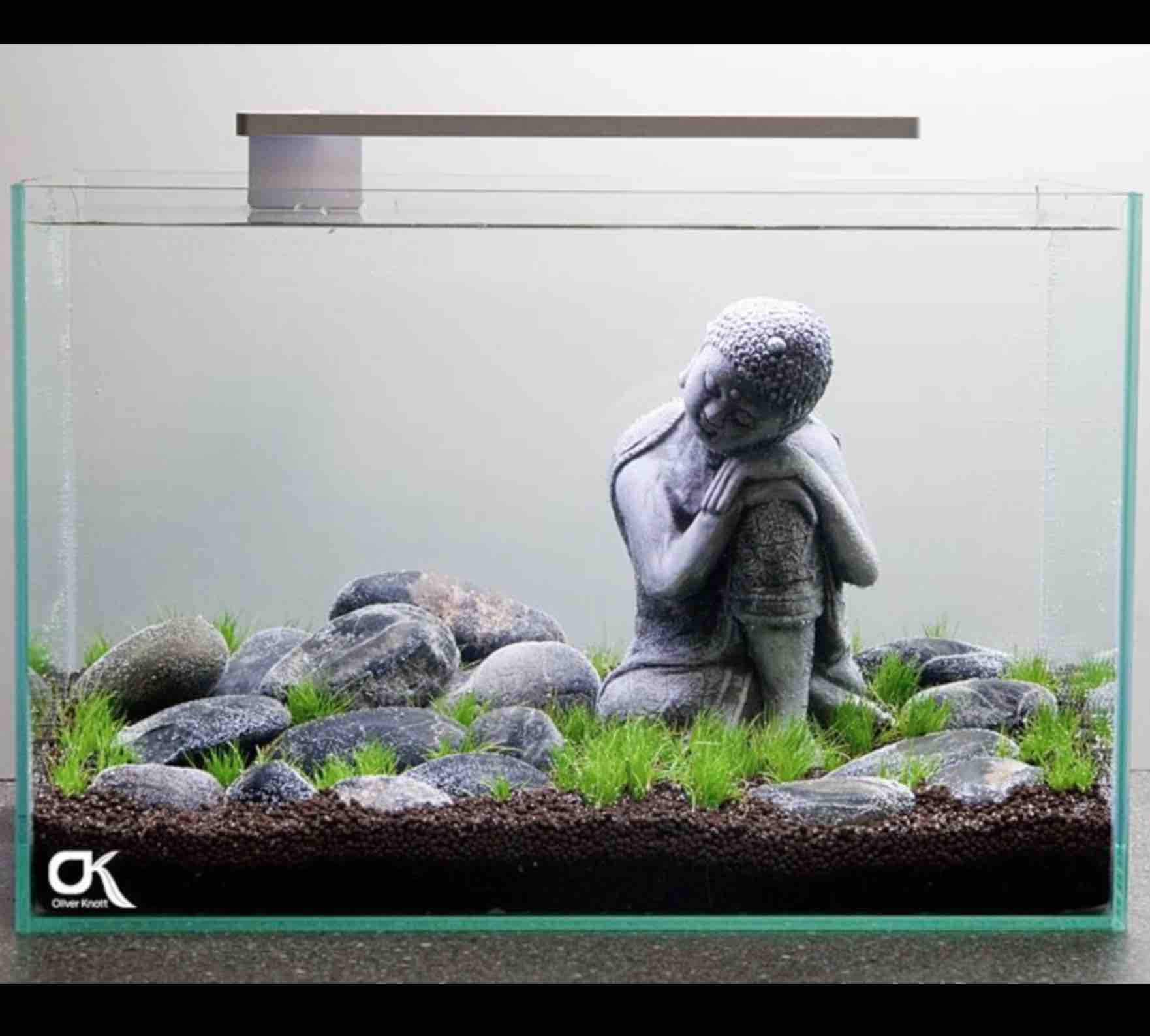 FLEXI Mini LED - Azoo