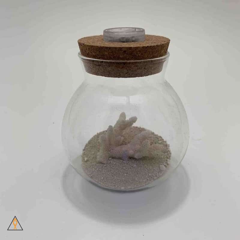 Natural Decor Small Glass LED Orb