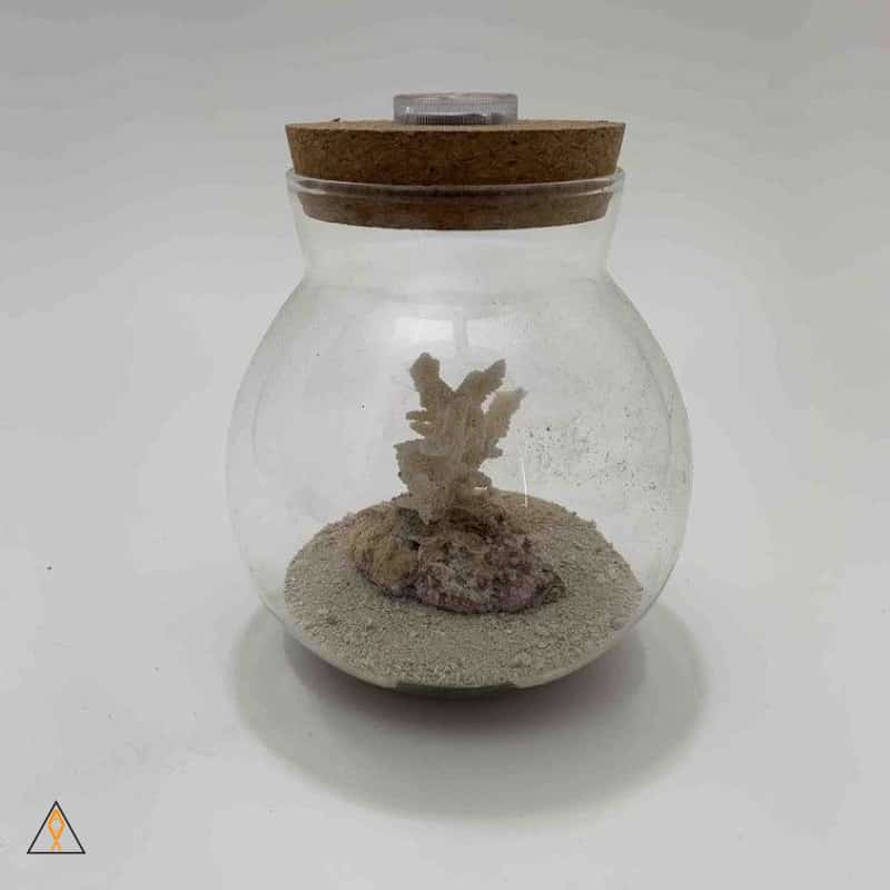 Natural Decor Small Glass LED Orb