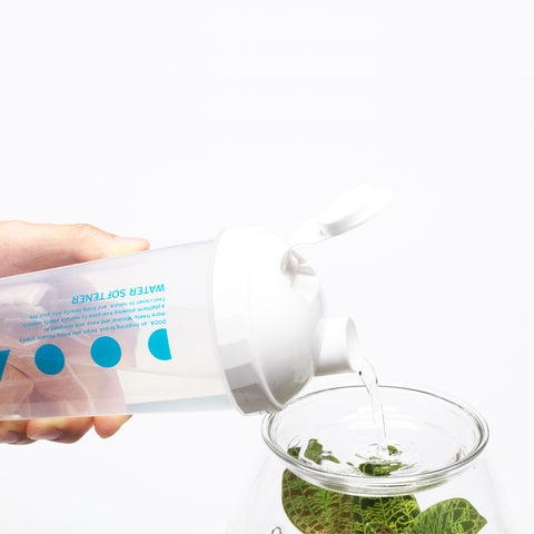 Glass Pot SHIZUKU - DOOA