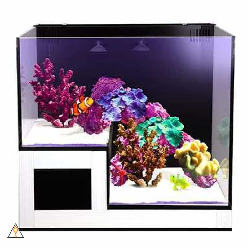 Rimless Concept Aquarium Nuvo Concept ABYSS Panorama (20 GAL) - Innovative Marine