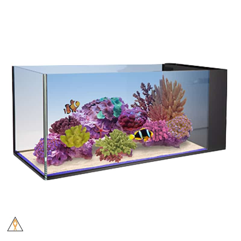 Rimless Concept Aquarium Nuvo Fusion Peninsula 20 - Innovative Marine