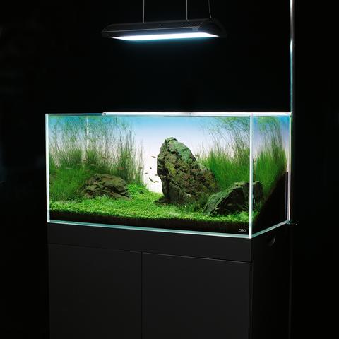 Light Screen - ADA
