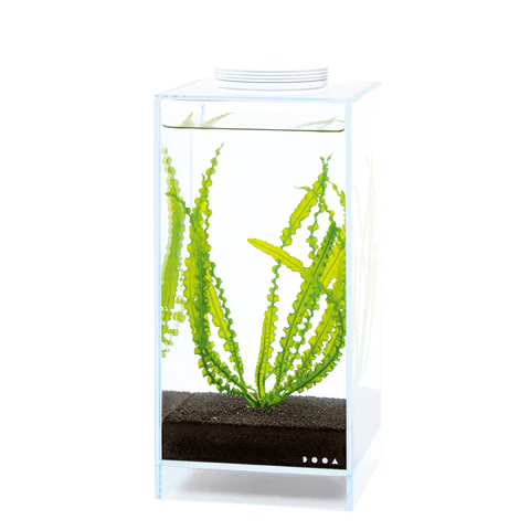 Magnet Light G LED Puck - DOOA