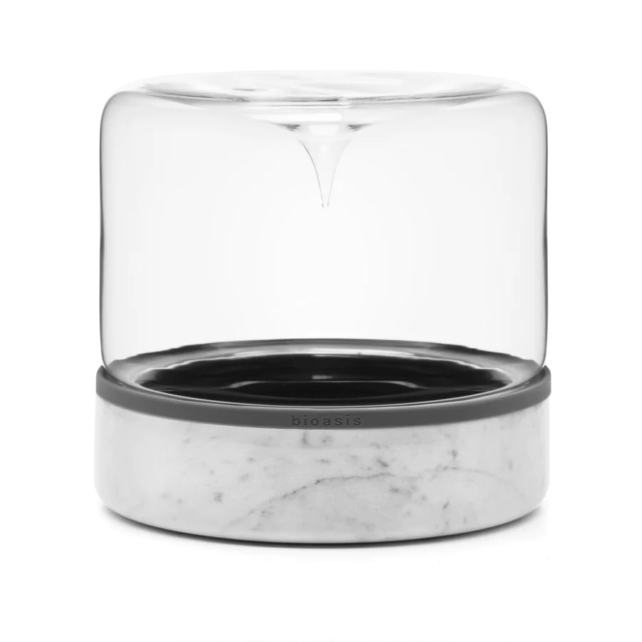 Closed Natura Bioasis Terrarium, Medium