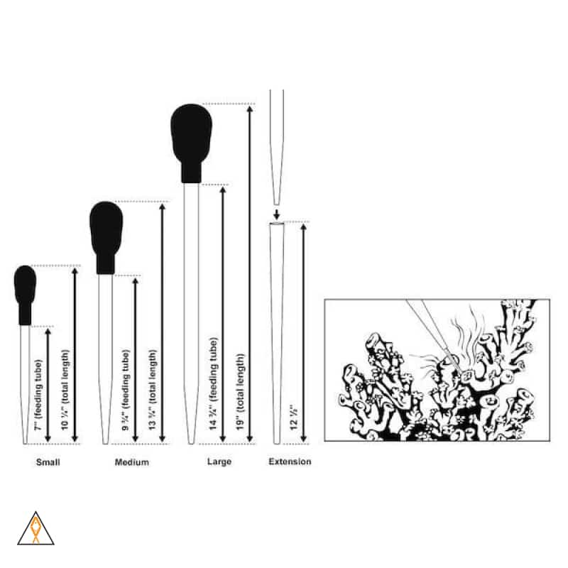 Tools Coral Feeders - Rio