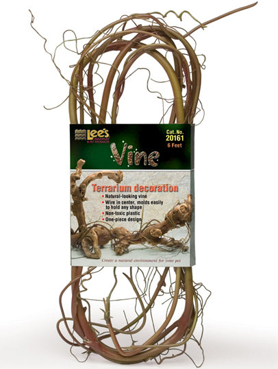 Terrarium Vine - Lee's