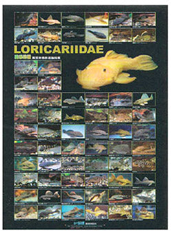 Aquarium Hobbyist Posters - Azoo